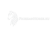 FriesianHorse.eu | Your Dream Friesian